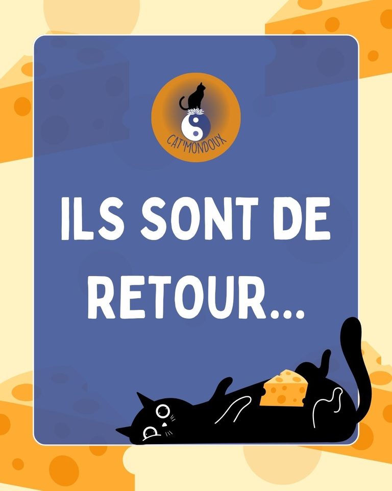 Ils sont de retour…