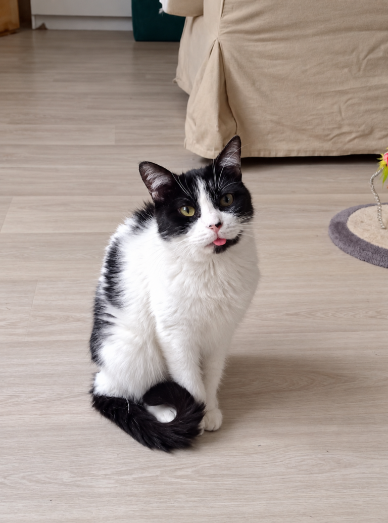 KITKAT