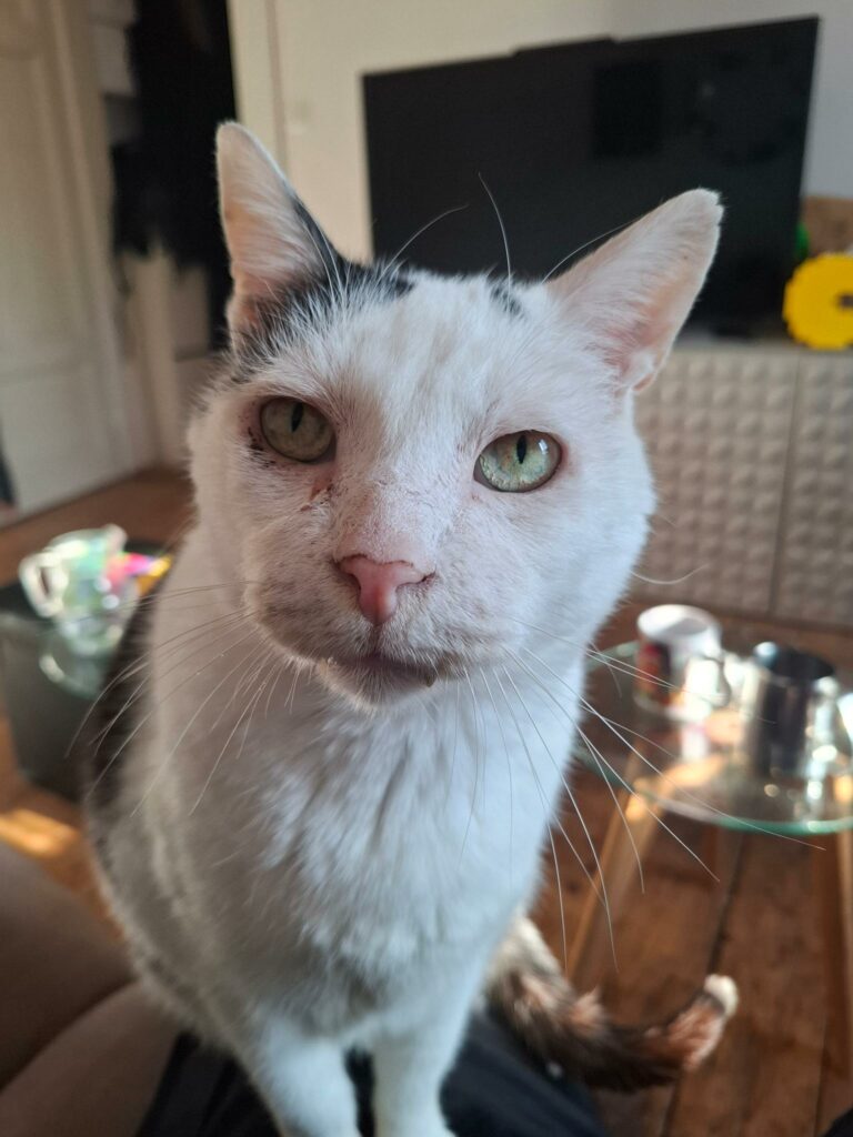 TONY