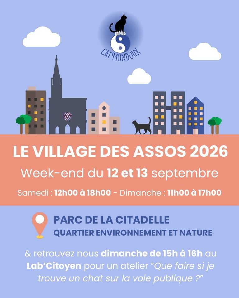 VILLAGE DES ASSOS