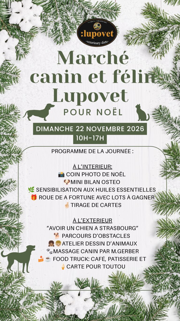 Marché de Noël Lupovet – Geispolsheim