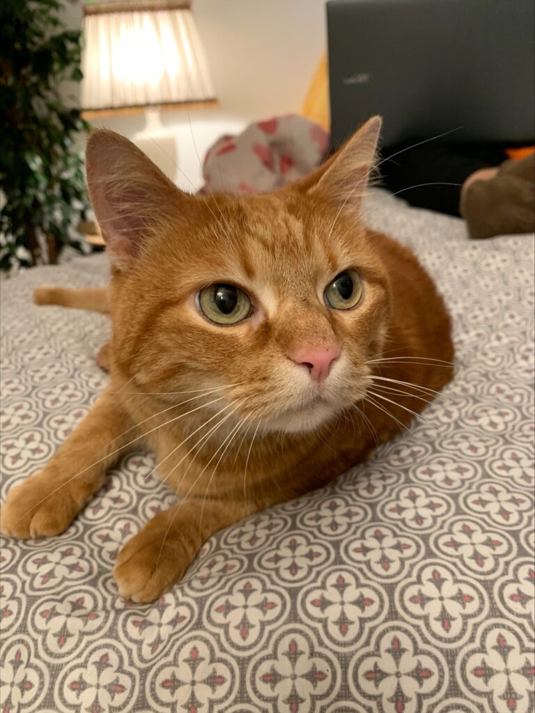 KIRA