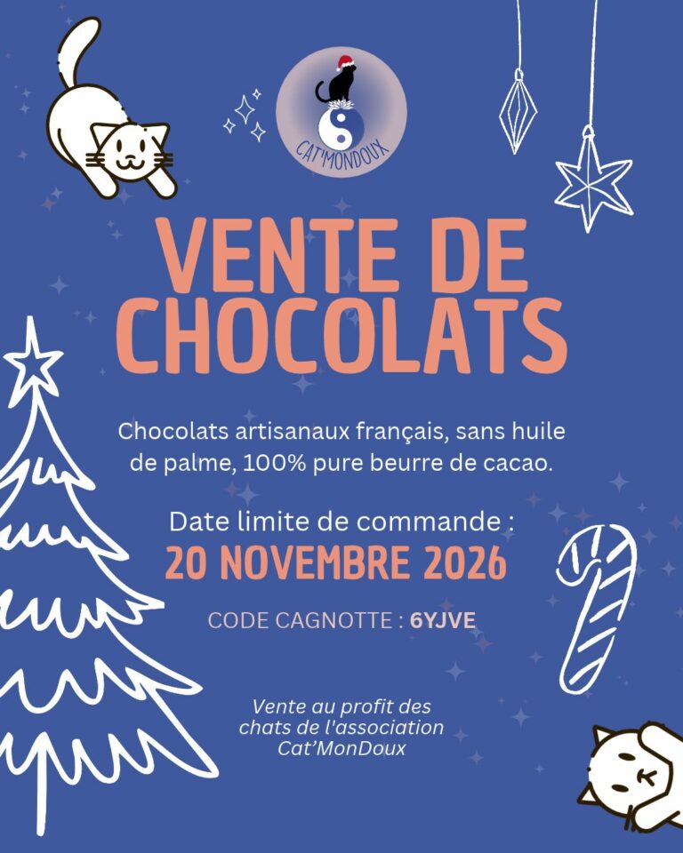VENTE DE CHOCOLATS DE NOËL 🍫