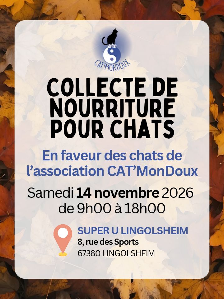 Collecte 14 novembre – SUPER U Lingolsheim