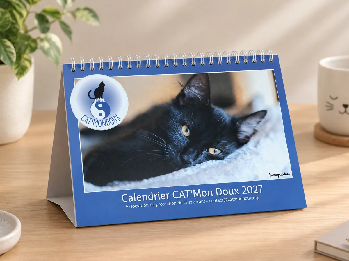 Calendrier chevalet A5 CAT'MonDoux 2027