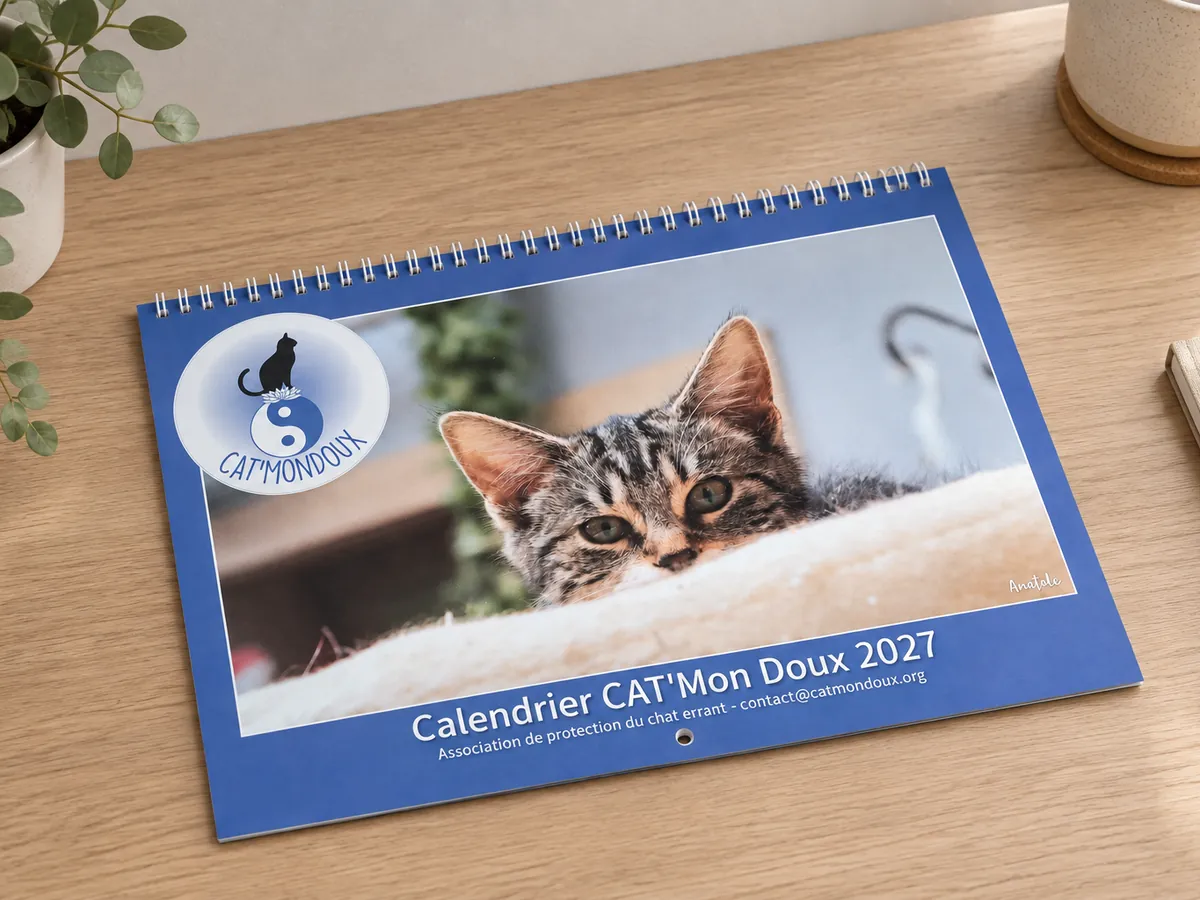 Calendrier mural A4 CAT'MonDoux 2027